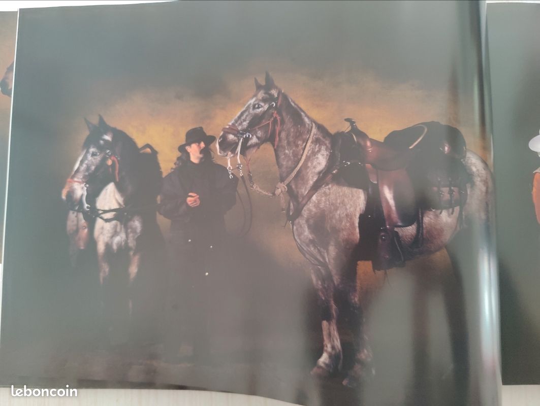 Chevaux par Gouraud jean-louis, arthus-bertrand éditions du chêne (image 11)