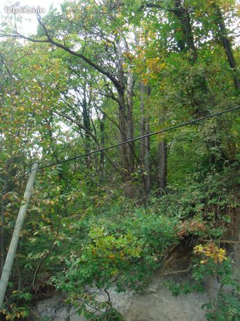 Parcelles de Bois