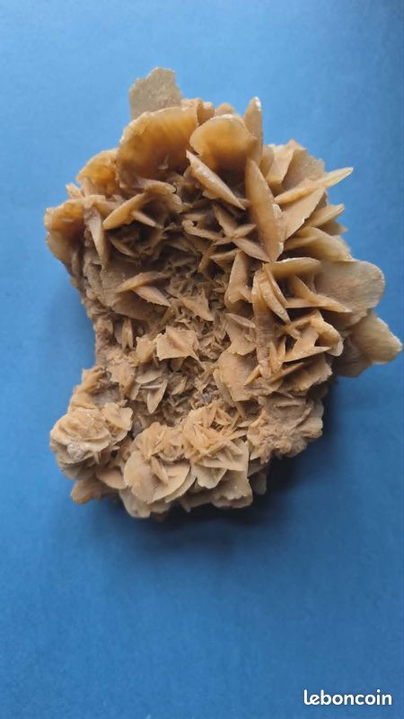 Véritable rose des sables (image 3)