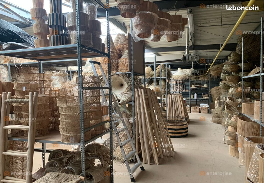 Local d'activité 450 m² (image 6)