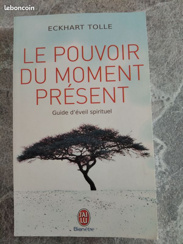 Le pouvoir du moment présent (image 1)