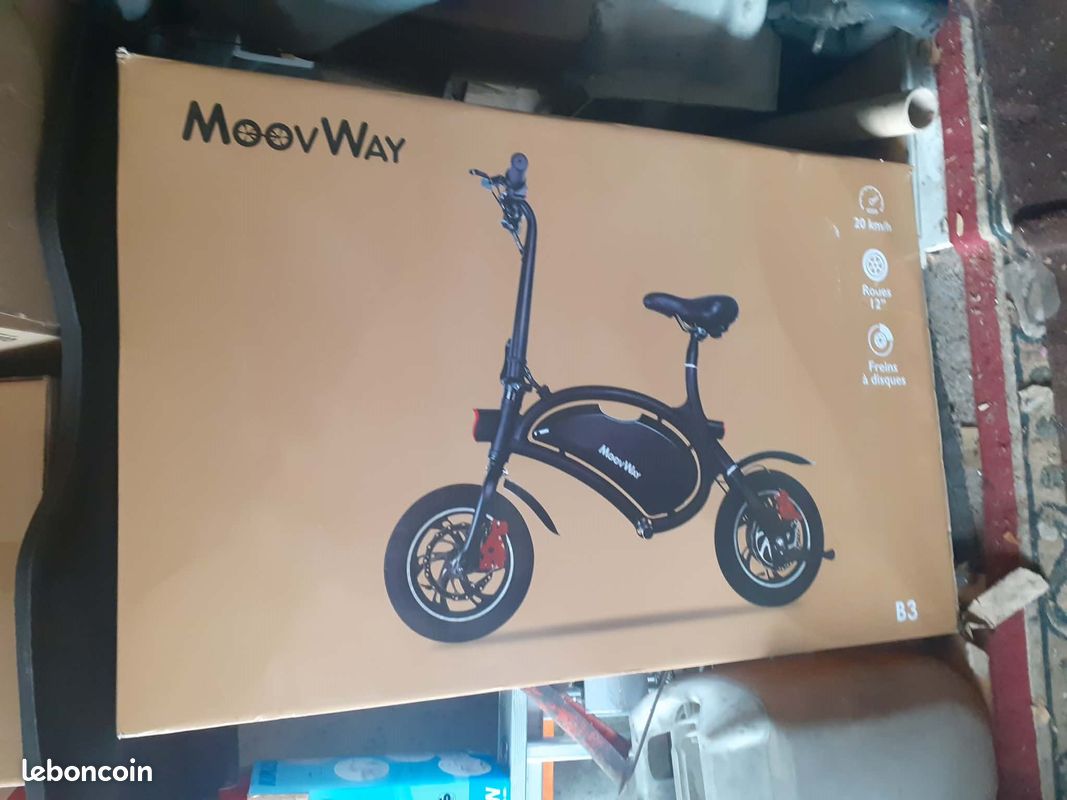 Draisienne électrique Moovway (image 1)