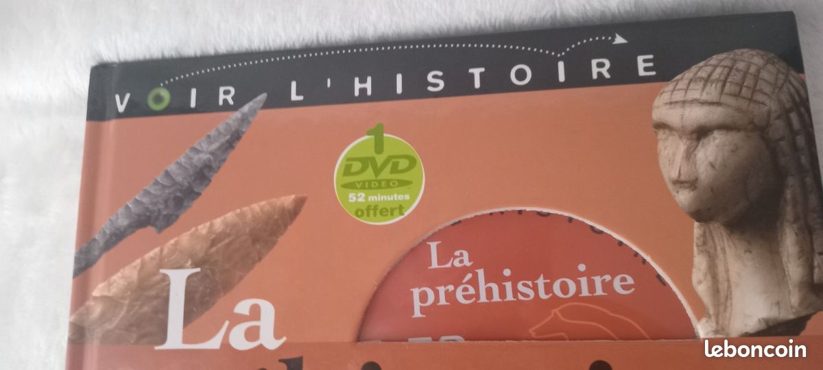 La préhistoire à partir de 9 ans/neuf (image 5)