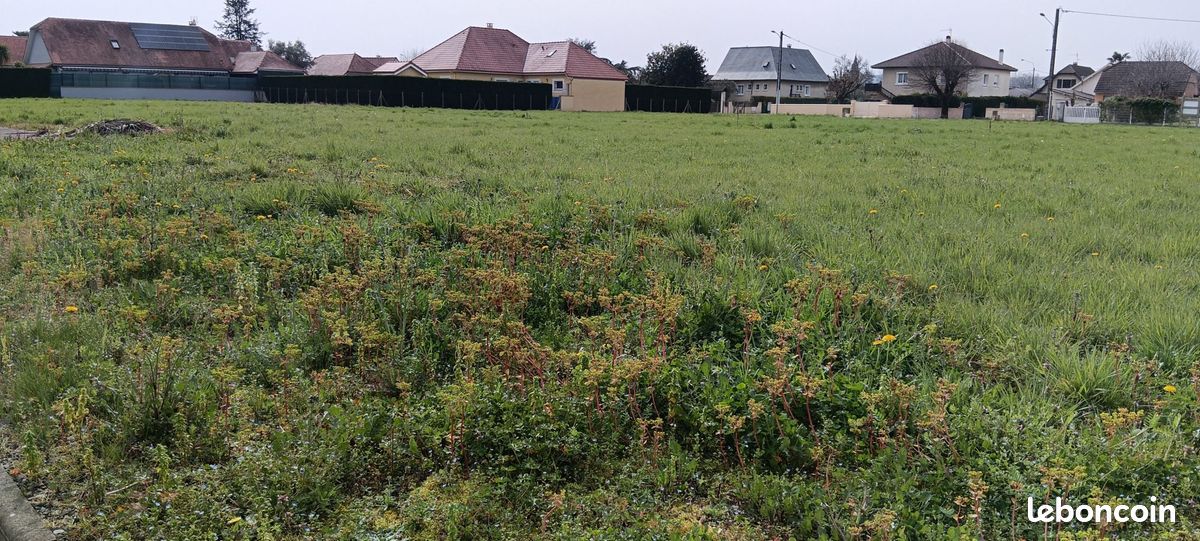 Terrain constrcutible · à Denguin · 125 000 €