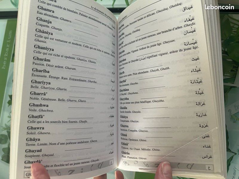 Dictionnaire des prénoms arabes (image 6)