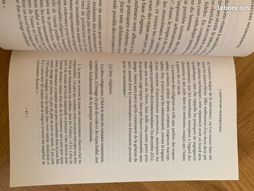 Livre ''Considérations inconvenantes sur l'école, l'islam et l'histoire en France à l'heure de la mondialisation'', B.Riondel 2015 (image 8)