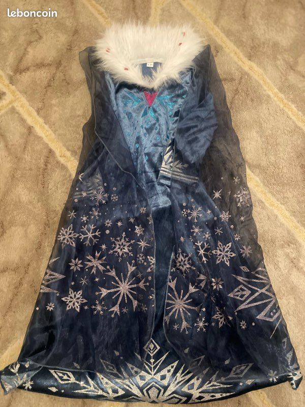 Déguisement la reine des neiges (image 5)