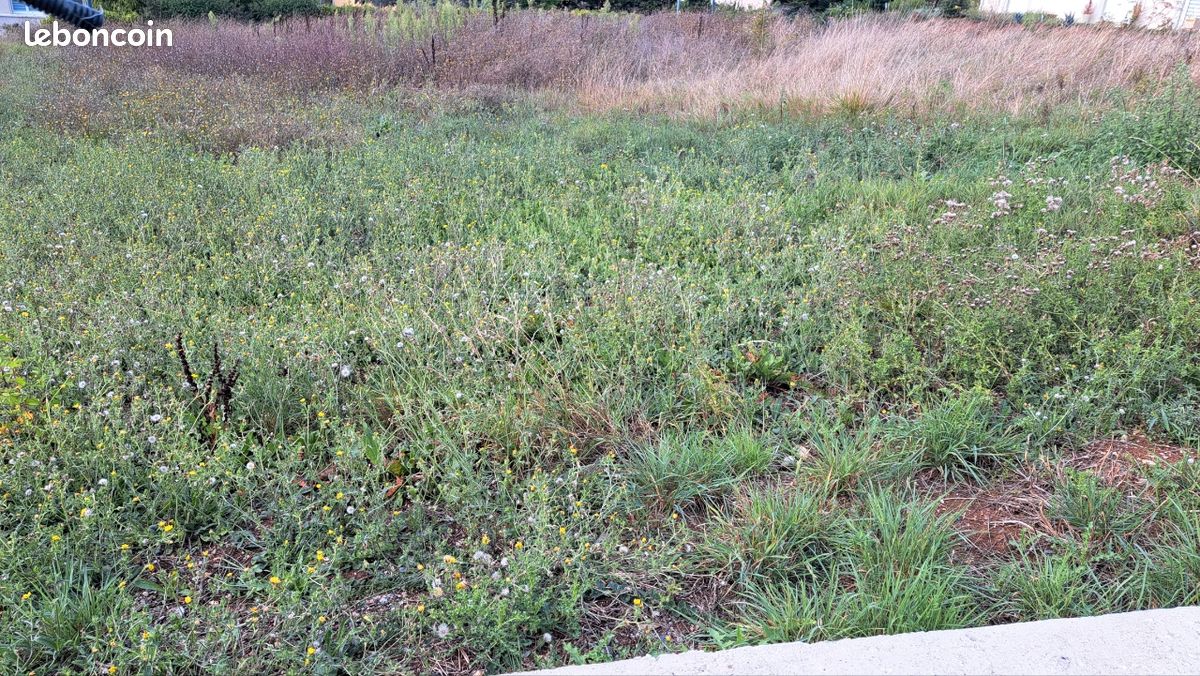 Vente terrain constructible · à Albi · 100 000 €
