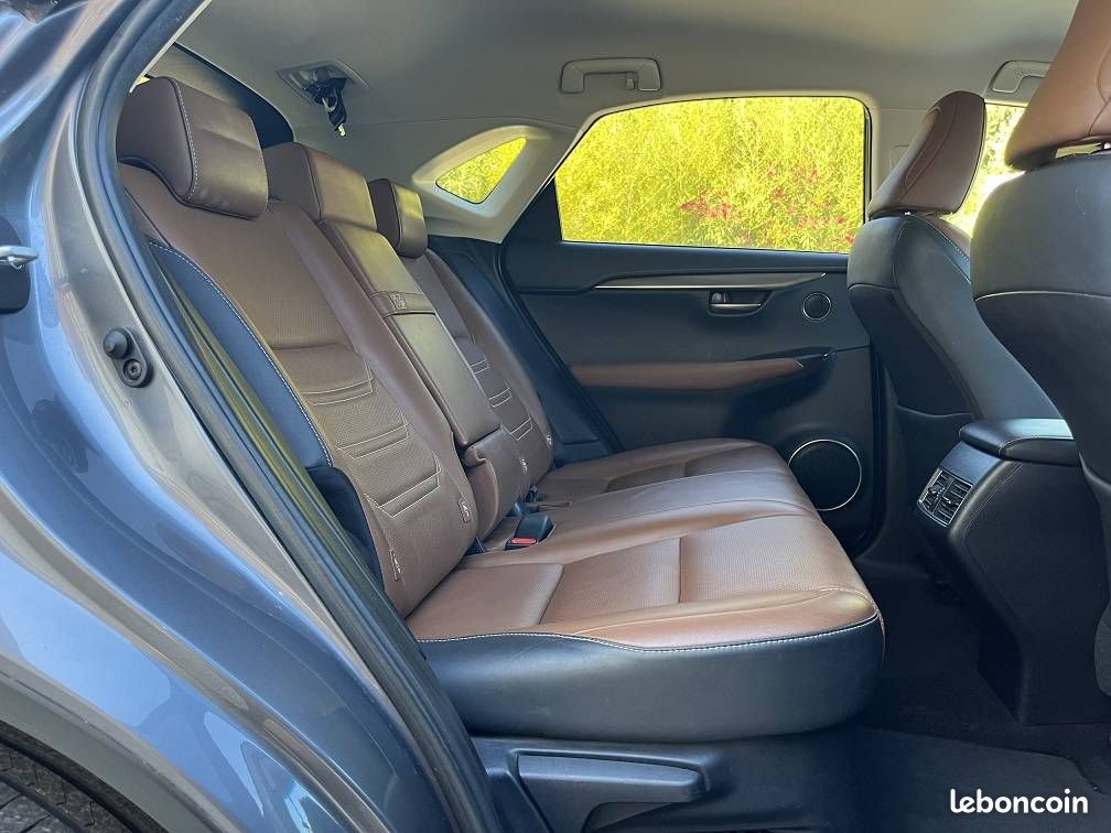Lexus NX 300h 4WD Luxe (image 12)