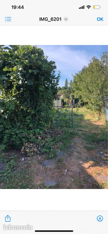 Maison de ville plain pied f3 St ciers - Saint-Ciers-sur-Gironde 33820 (image 3)