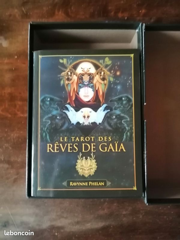 Le tarot des rêves de Gaïa (de Ravynne Phelan)- relié et illustré (image 3)