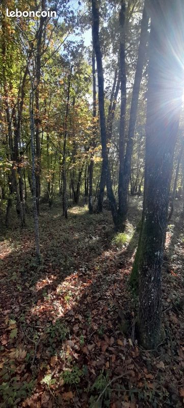 Parcelles de bois · à Busque · 15 000 €