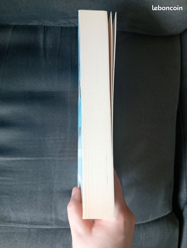 Livre la collectionneuse d'histoires d'Evie Gaughan (image 4)
