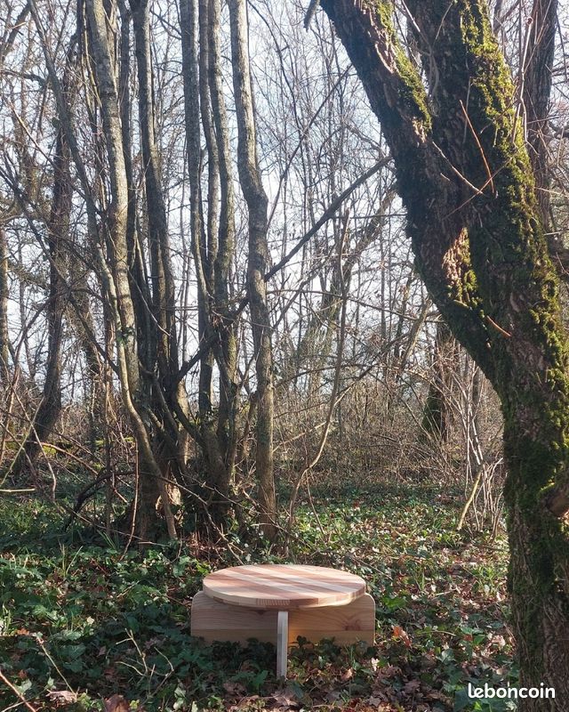 Table basse (image 1)