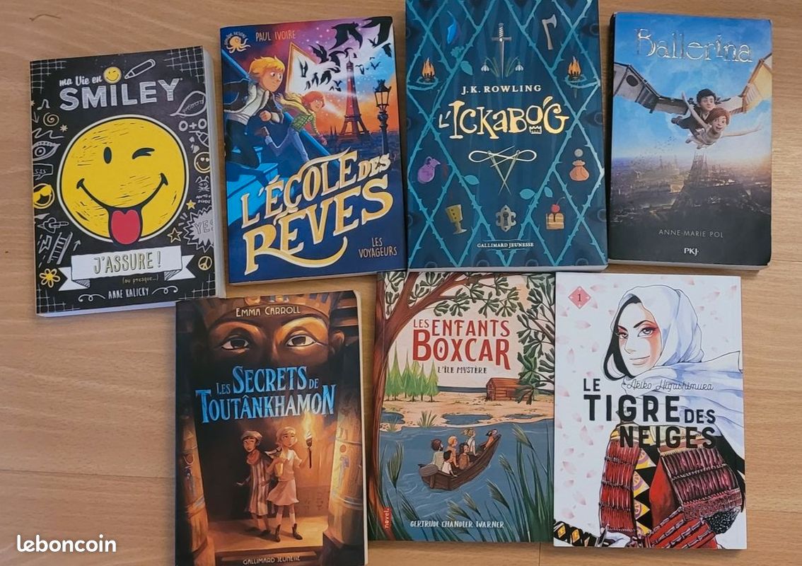 Livres enfant et ado (image 5)