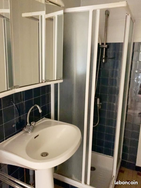 Studio 1 pièce 24 m² - Brive-la-Gaillarde 19100 (image principale 4)
