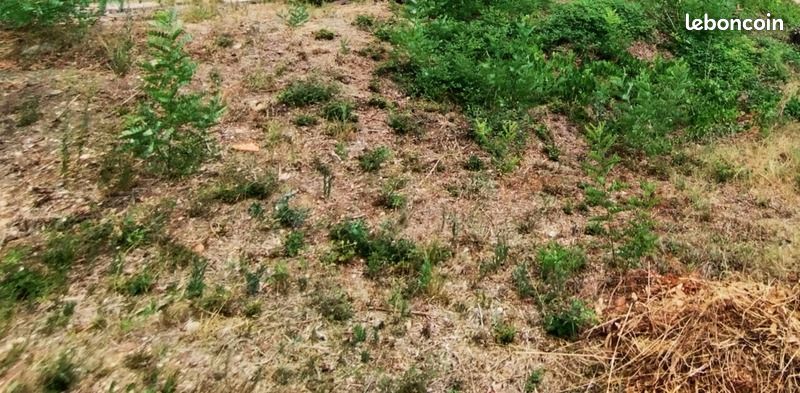 Terrain 850 m² Montpellier · 426 000 €