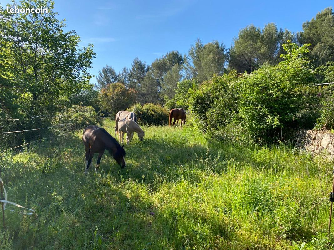 Maison 8 pièces 265 m² · à Grasse · 265 m² · 1 780 000 €
