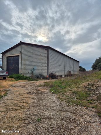 Vend hangar agricole et vignes
