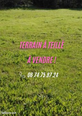 Terrain 313 m² Teille