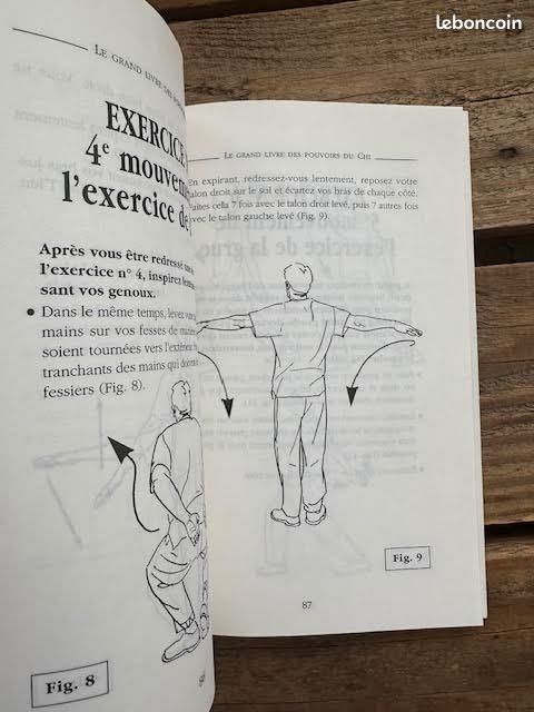 Le grand livre des pouvoirs du chi (image 3)