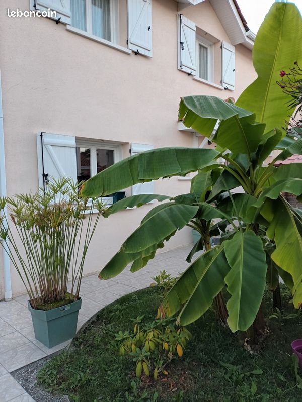 Maison 7 pièces 127 m² · à Eysines · 127 m² · 450 000 €