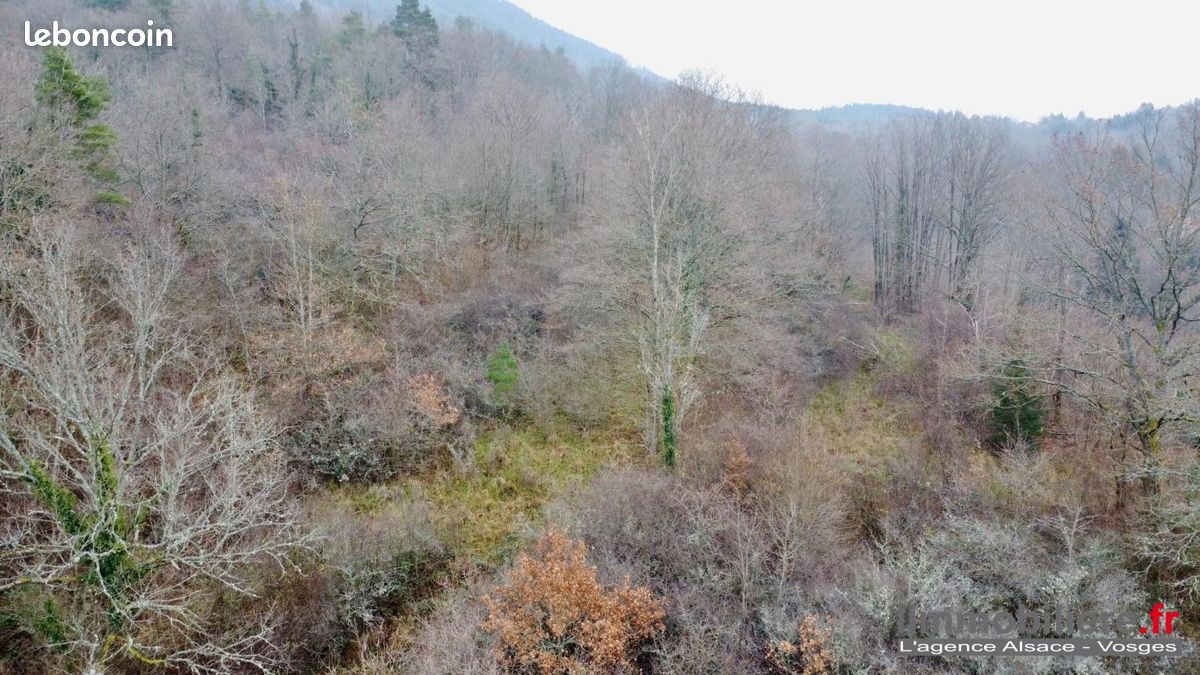 Terrain 39 987 m² Saint Die Des Vosges · à Saint-Dié-des-Vosges · 87 200 €