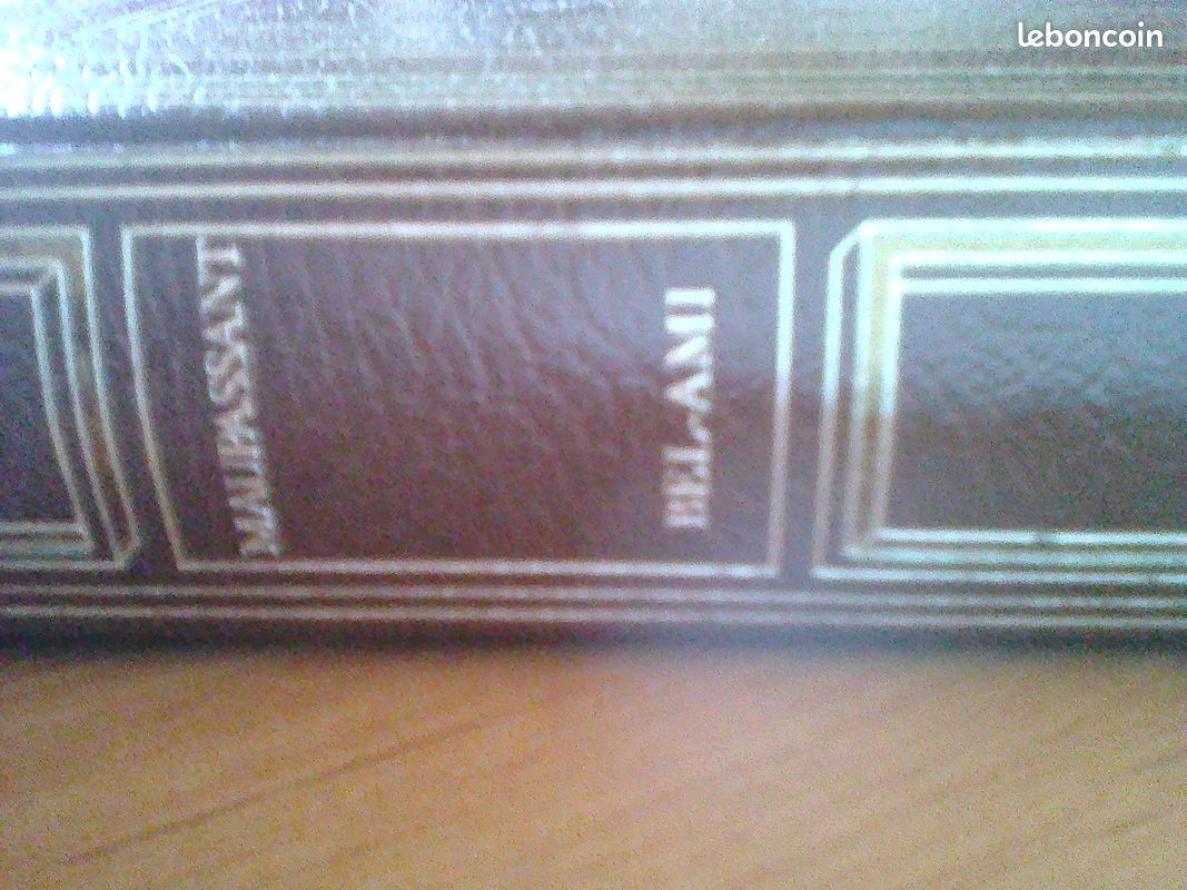 Bel-Ami, Paris, Hachette, Le Livre de Paris (image 2)