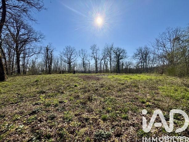 Terrain 7404 m² Paulin