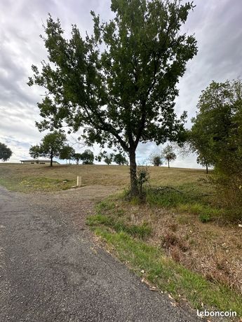Terrain à bâtir viabilisé – 2850 m² – Orienté SUD