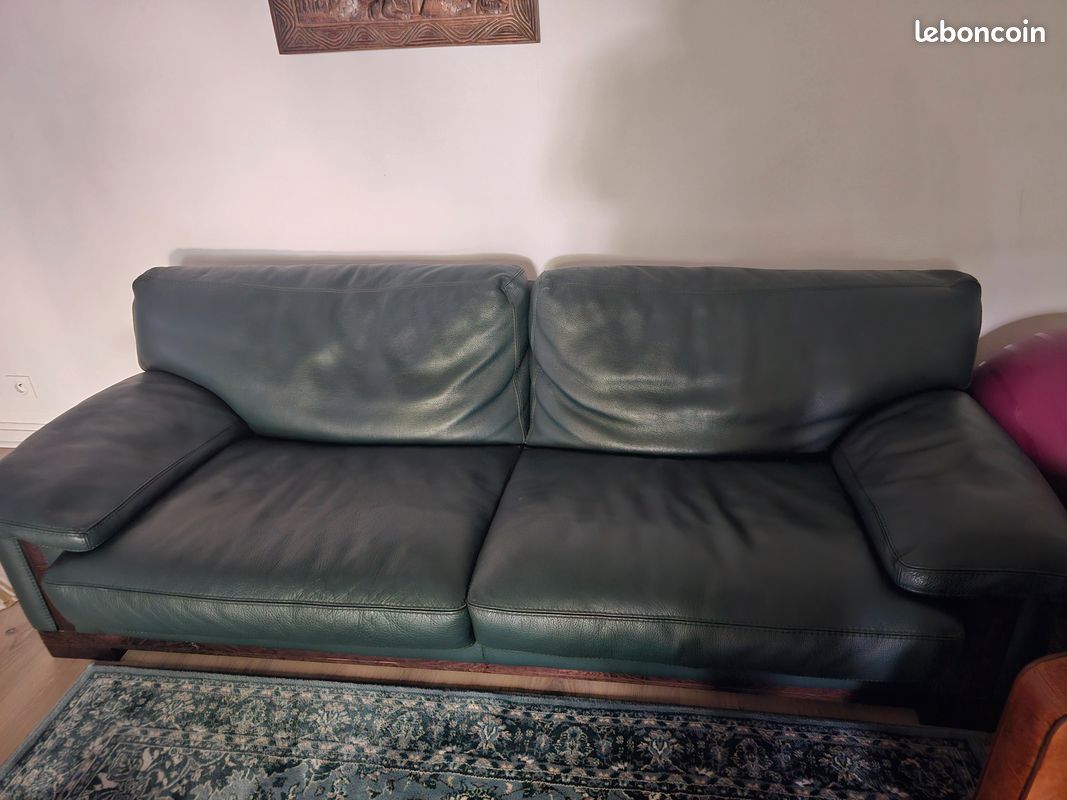 Canape Roche Bobois en cuire (image 2)