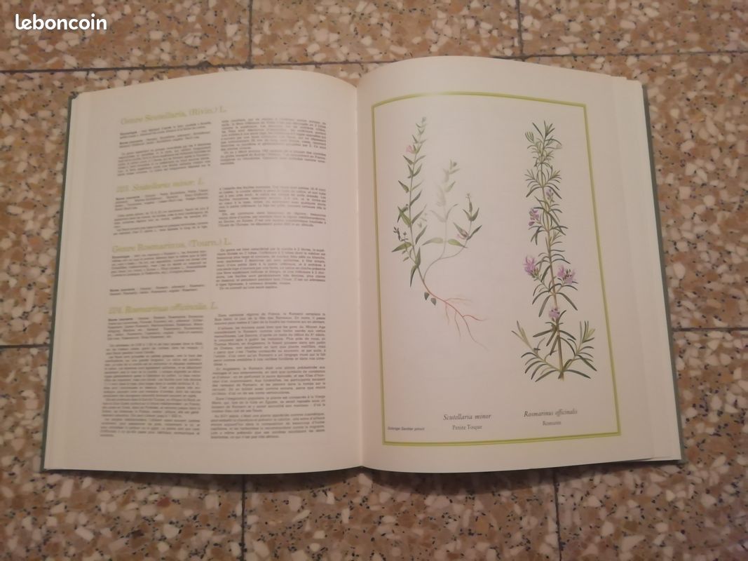 Livres Fleurs Sauvages de France et des Régions Limitrophes (image 12)