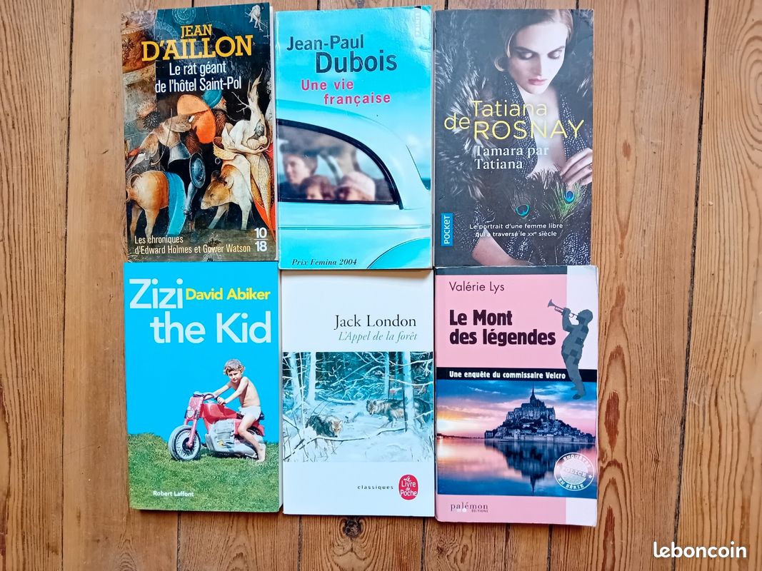 Lot de romans (image 1)