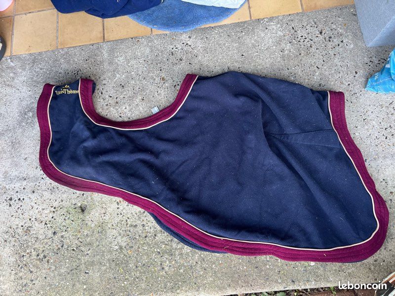 Don affaires équitation (image 4)