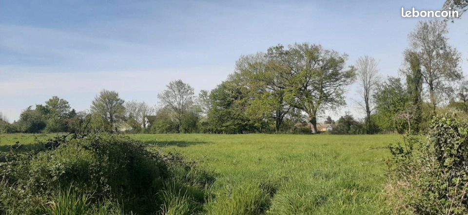 Terrain 314 m² · à Savigné-l'Évêque · 48 900 €