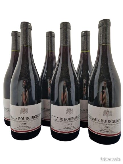 6 bouteilles bourgogne 2016 coteaux bourguignon Benoit Bailly (image 1)
