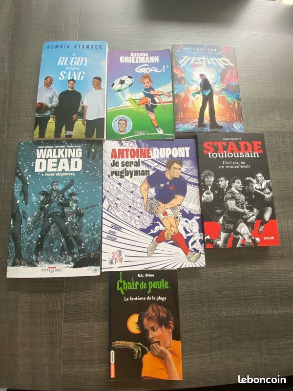 Lot de livres de bd/rugby/foot/chair de poule (image 1)