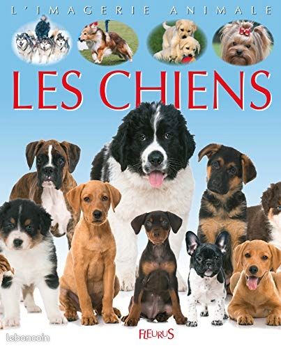 Livre sur les chiens (image 1)