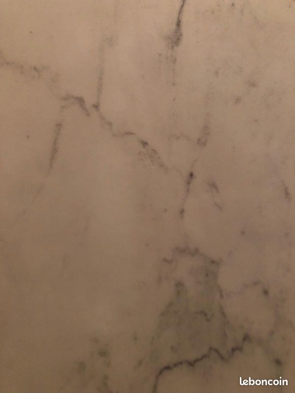 CARRELAGE GRES CERAME effet marbre blanc (image 3)