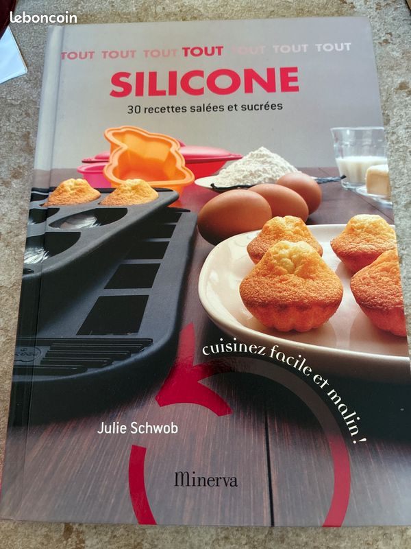 Livre Recette tout silicone (image 1)