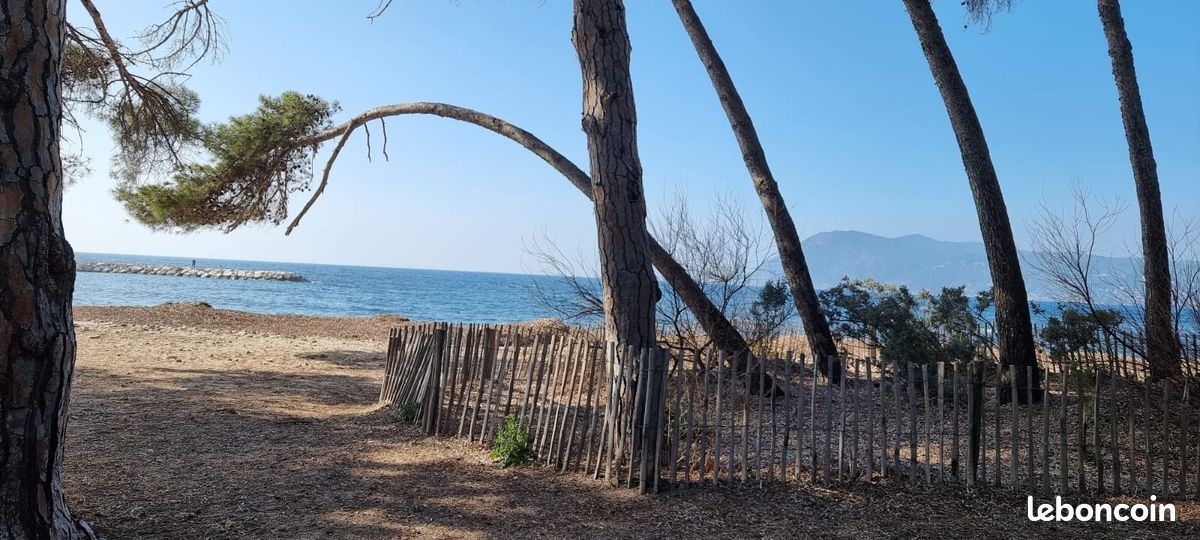 Location Vacances studio Saint Mandrier Pin Rolland - Locations
