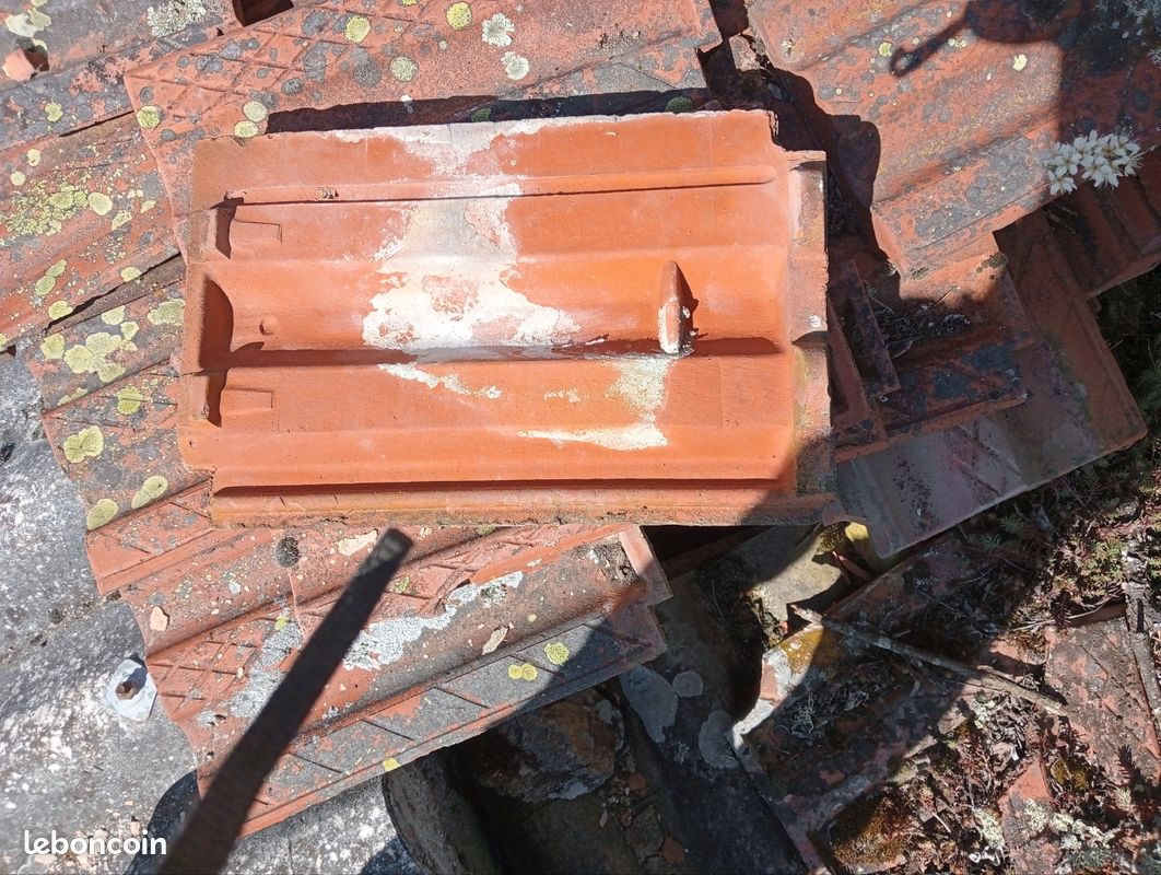 Tuile (image 4)