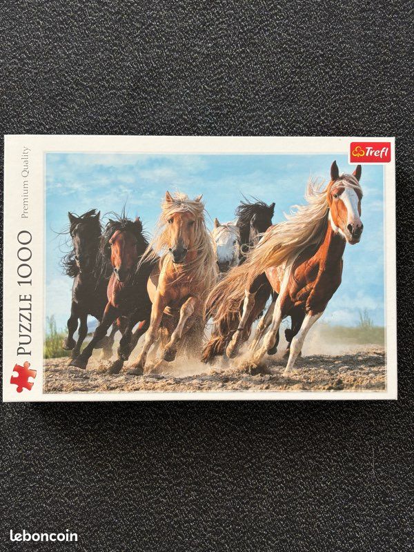 Puzzle 1000 pièces (image 1)