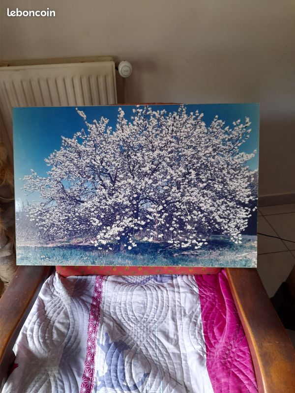 Tableau (image 2)
