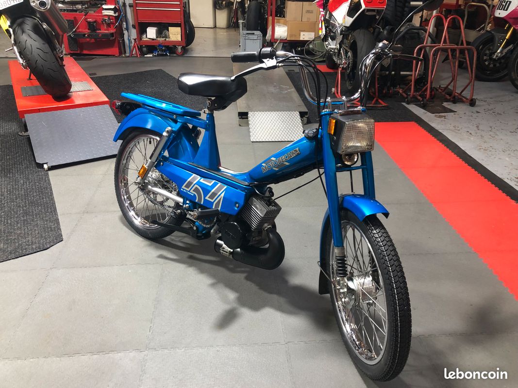mobylette-motob-cane-51-v-motos