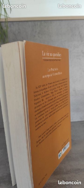 Les Pyrénées au temps de Victor Hugo Par Anne Lasserre-Vergne (image 4)