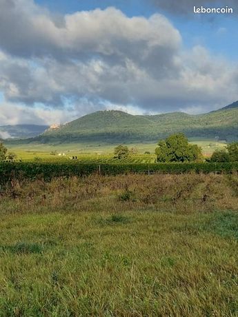 Terrain 558 m² Ribeauville