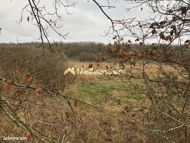 Terrain 2 829 m² Mont Saint Martin