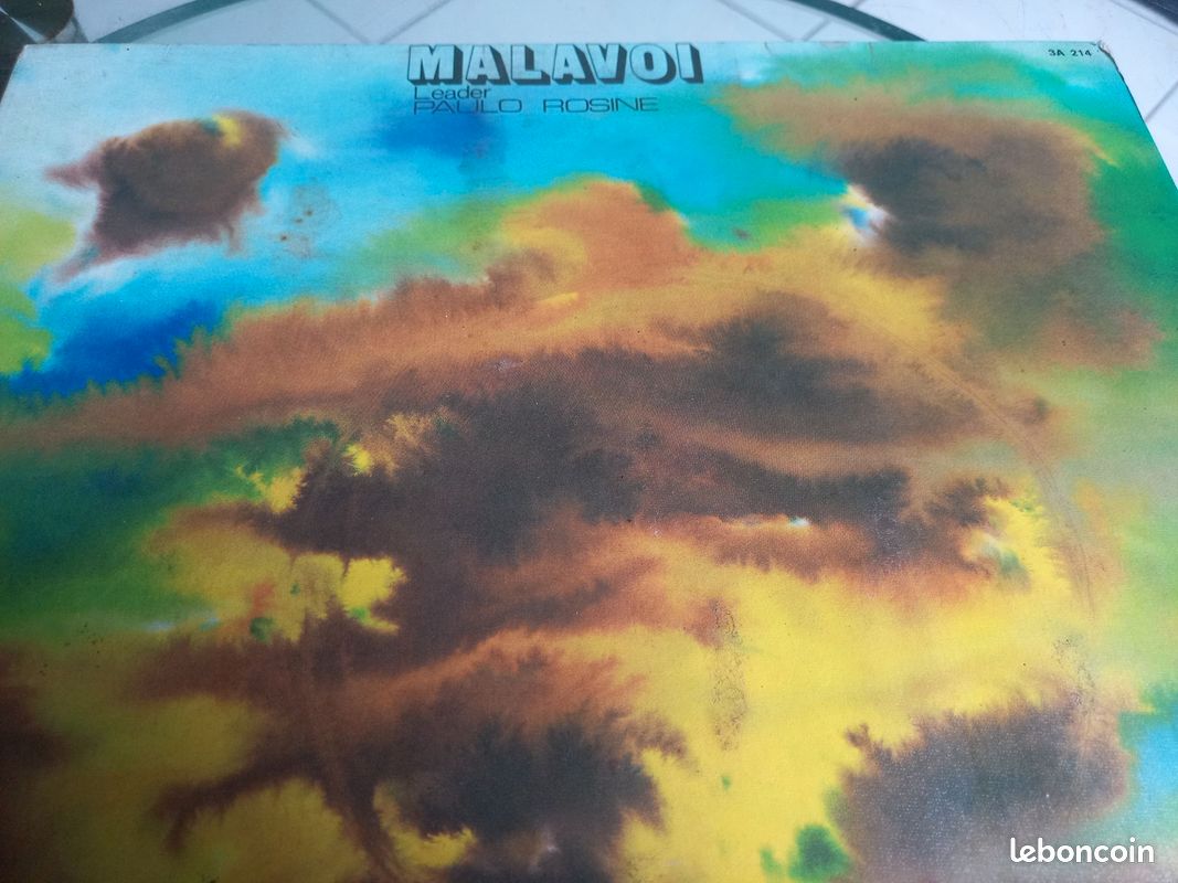 Loisir vend vinyl (image 9)