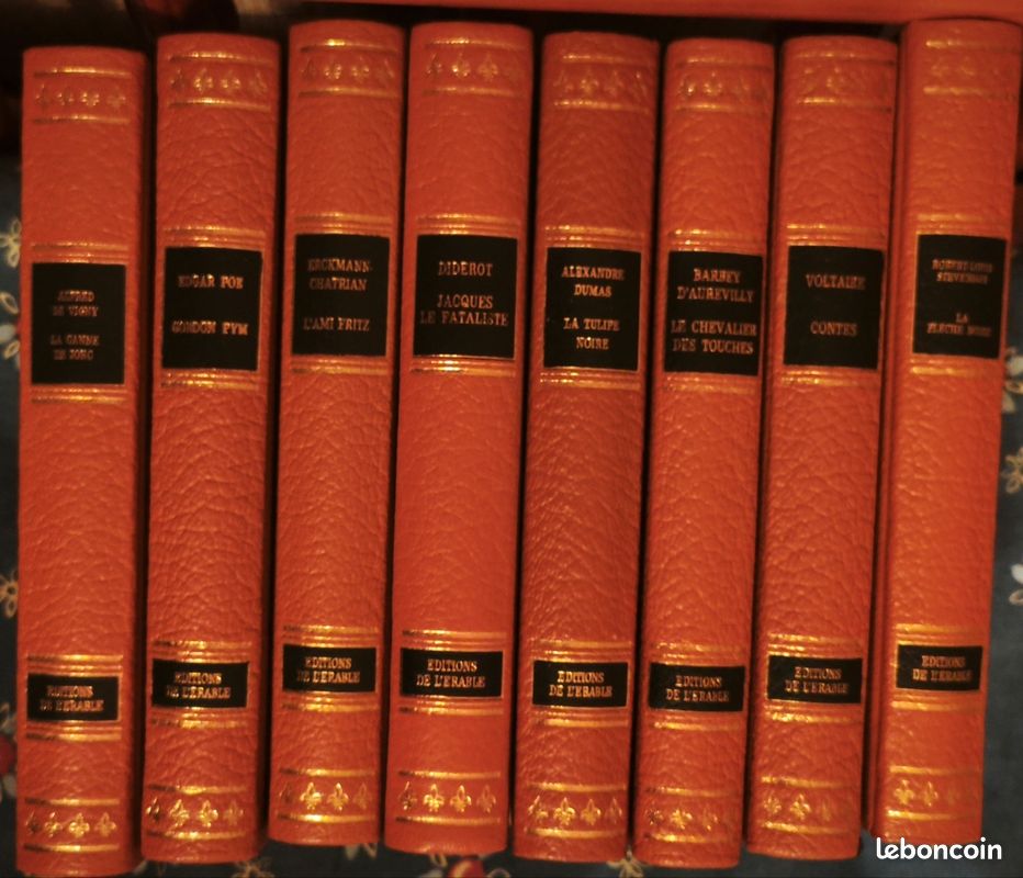 Collection roman grands auteurs classiques (image 4)